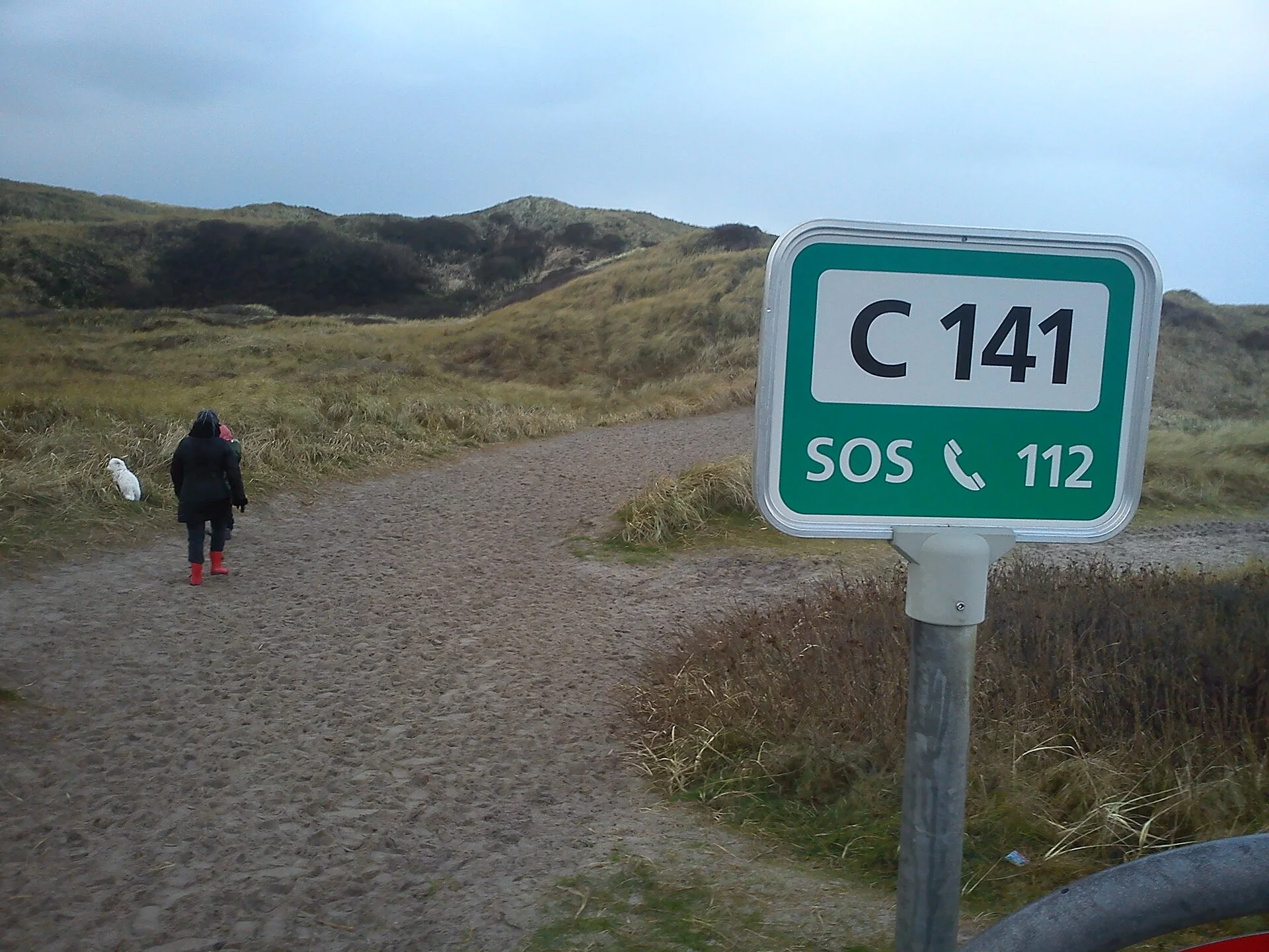 Danish emergency access sign C141 in the dunes naer the beach at Vedersø close to Søndervig, ein Hund-Foto auf Pictures of Dog