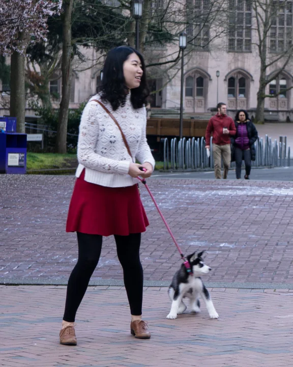 Small black and white dog on a lead beside a person in a red skirt · Dog photo — Pictures of Dog