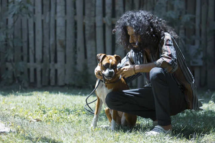 Brown and white dog beside a crouching person on grass · Dog photo — Pictures of Dog