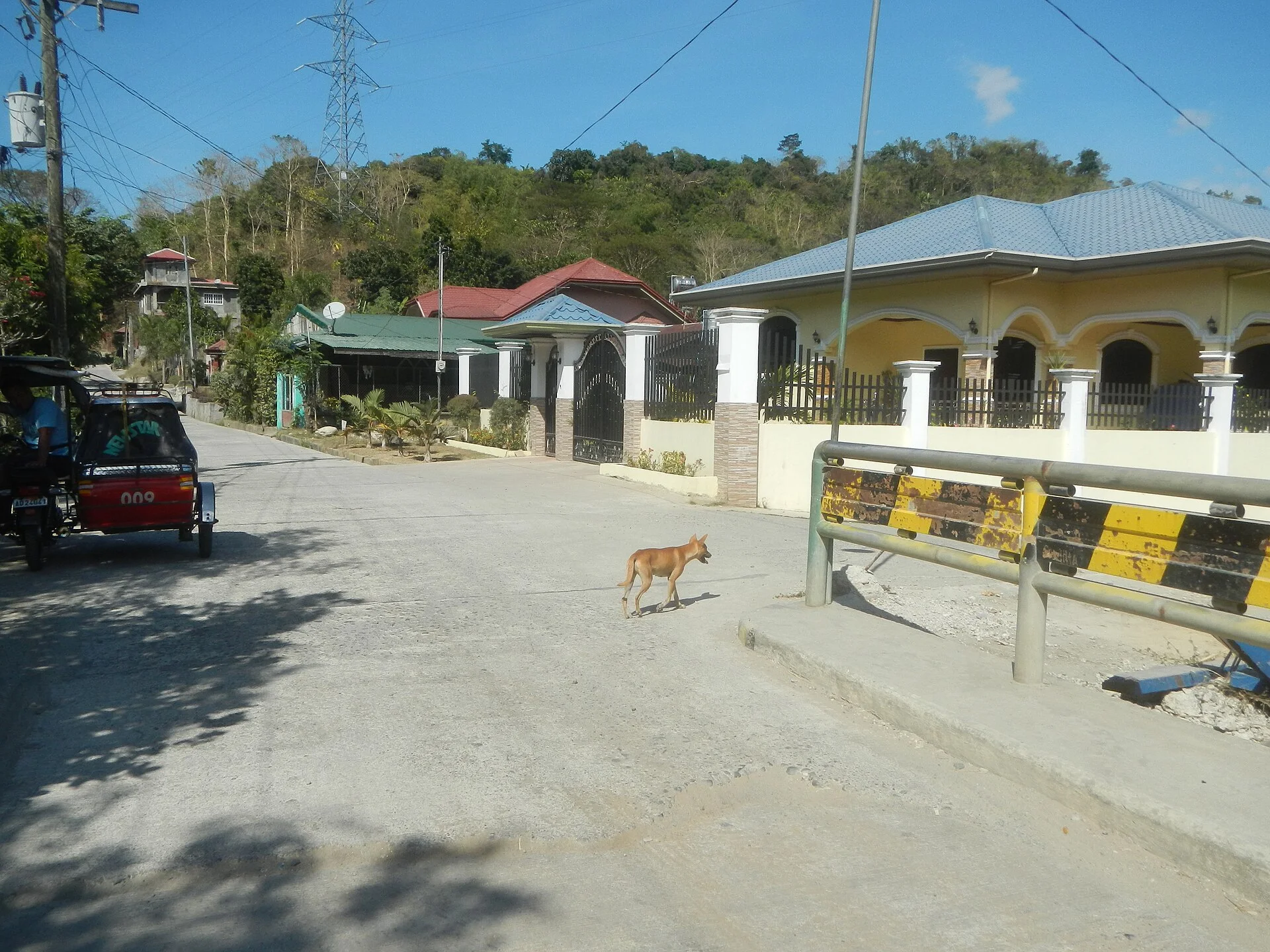 Sobredillo Bridge San Gregorio, Caba, La Union Kubota KH-70 San Gregorio Elementary and National High Schools, Caba Igle, ein Hund-Foto auf Pictures of Dog