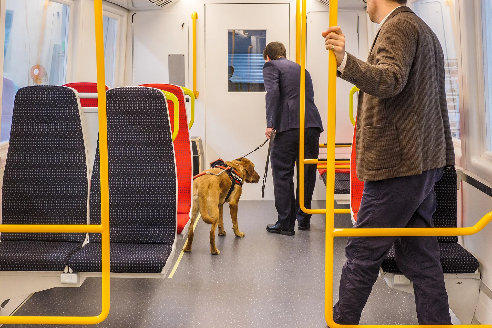 QTMP Low-fidelity mock-up functional testing, Lot 2C, 405 Newman Road, Geebung, a dog photo on Pictures of Dog