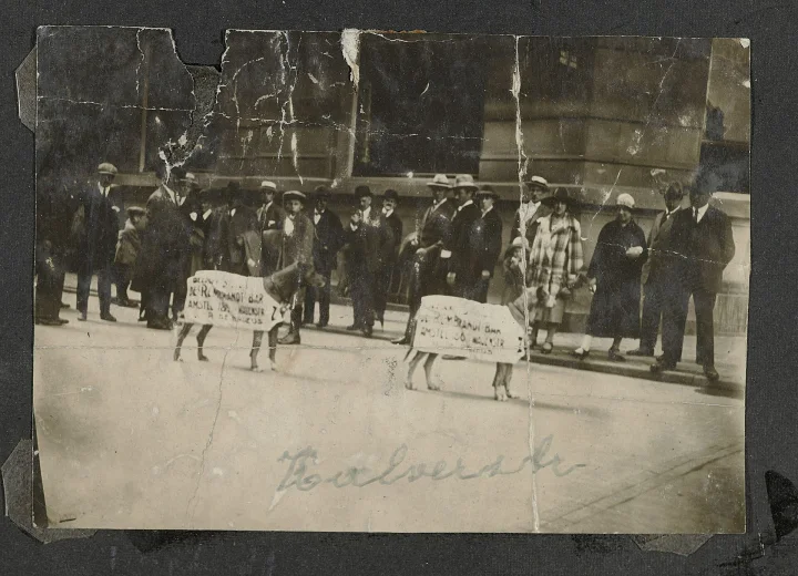 Two dogs carrying signs in a historical street photograph · Dog photo — Pictures of Dog