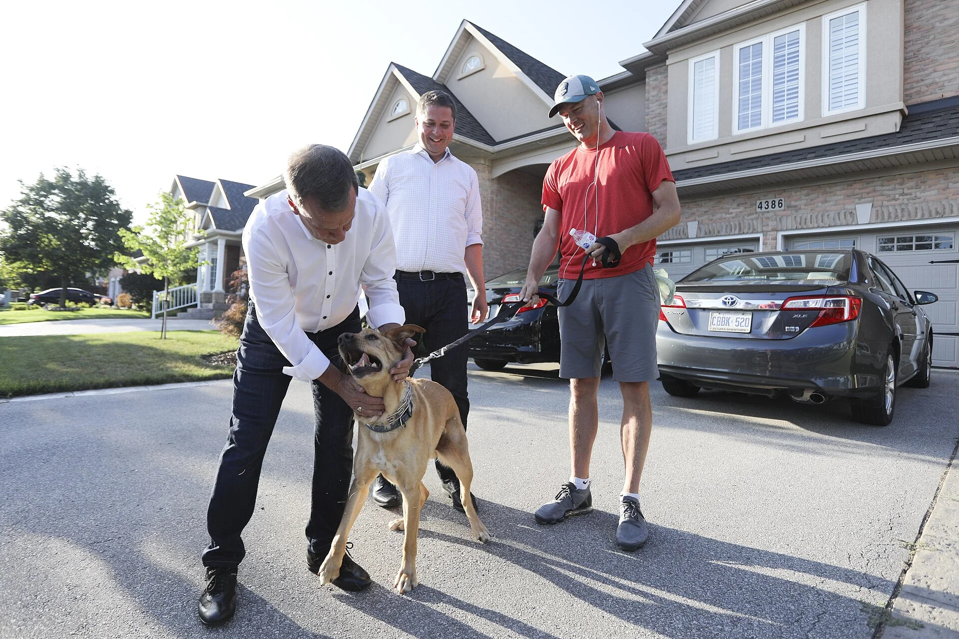 I was in Burlington with Sean Weir to spread our positive vision for Canada. We've been knocking on doors and the same s, una foto de perro en Pictures of Dog