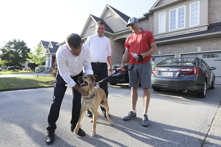 Dog beside three people in a driveway · Dog photo — Pictures of Dog