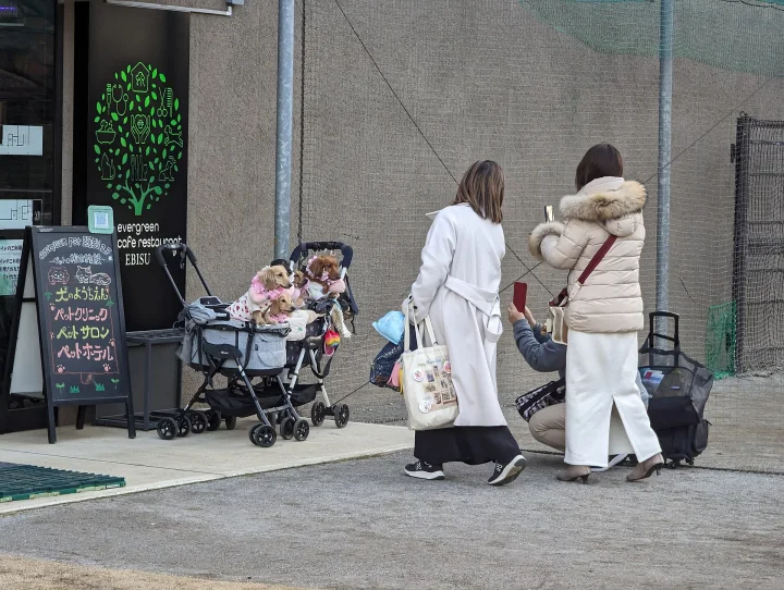 A dog beside people and pushchairs outside a cafe · Dog photo — Pictures of Dog