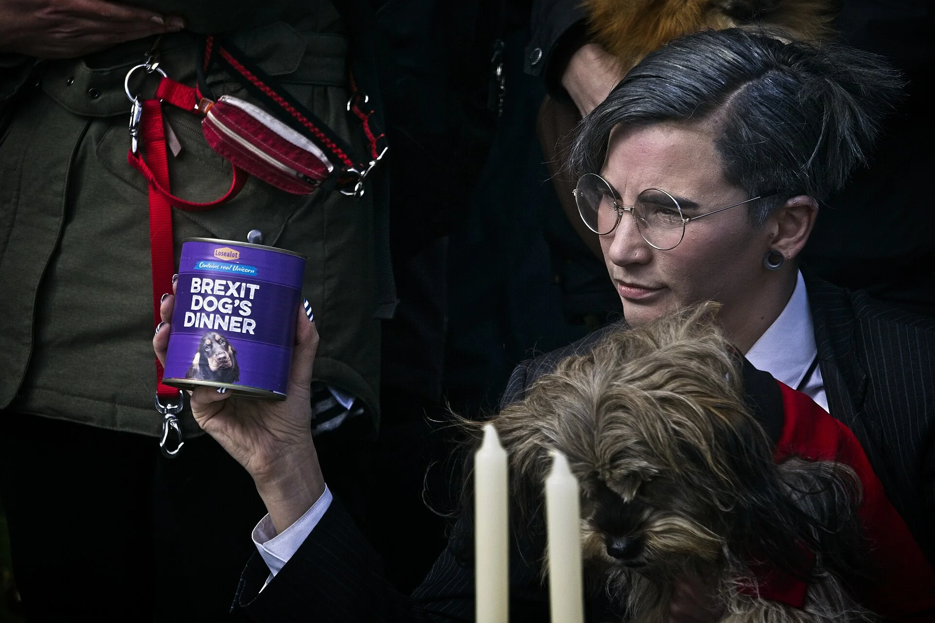 Photos taken at the Wooferendum protest and rally in Victoria Tower Gardens on Sunday 10th March 2019., une photo de chien sur Pictures of Dog