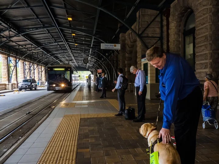 Variotram 2103 arrives Central Railway Station Tram Stop Pitt St Sydney, a dog photo on Pictures of Dog