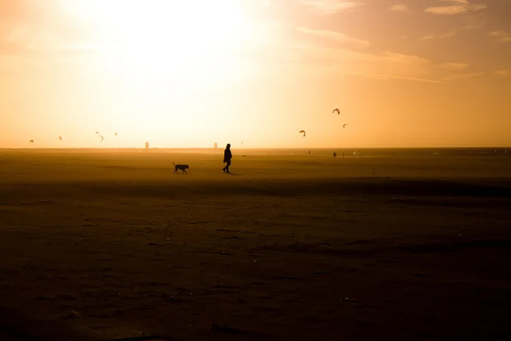 A dog and a person silhouetted on a beach at sunset · Dog photo — Pictures of Dog