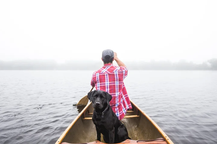 A black dog at the front of a canoe on a misty lake · Dog photo — Pictures of Dog