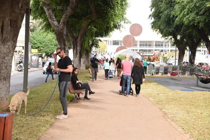 Two dogs on leads beside people on a park path · Dog photo — Pictures of Dog
